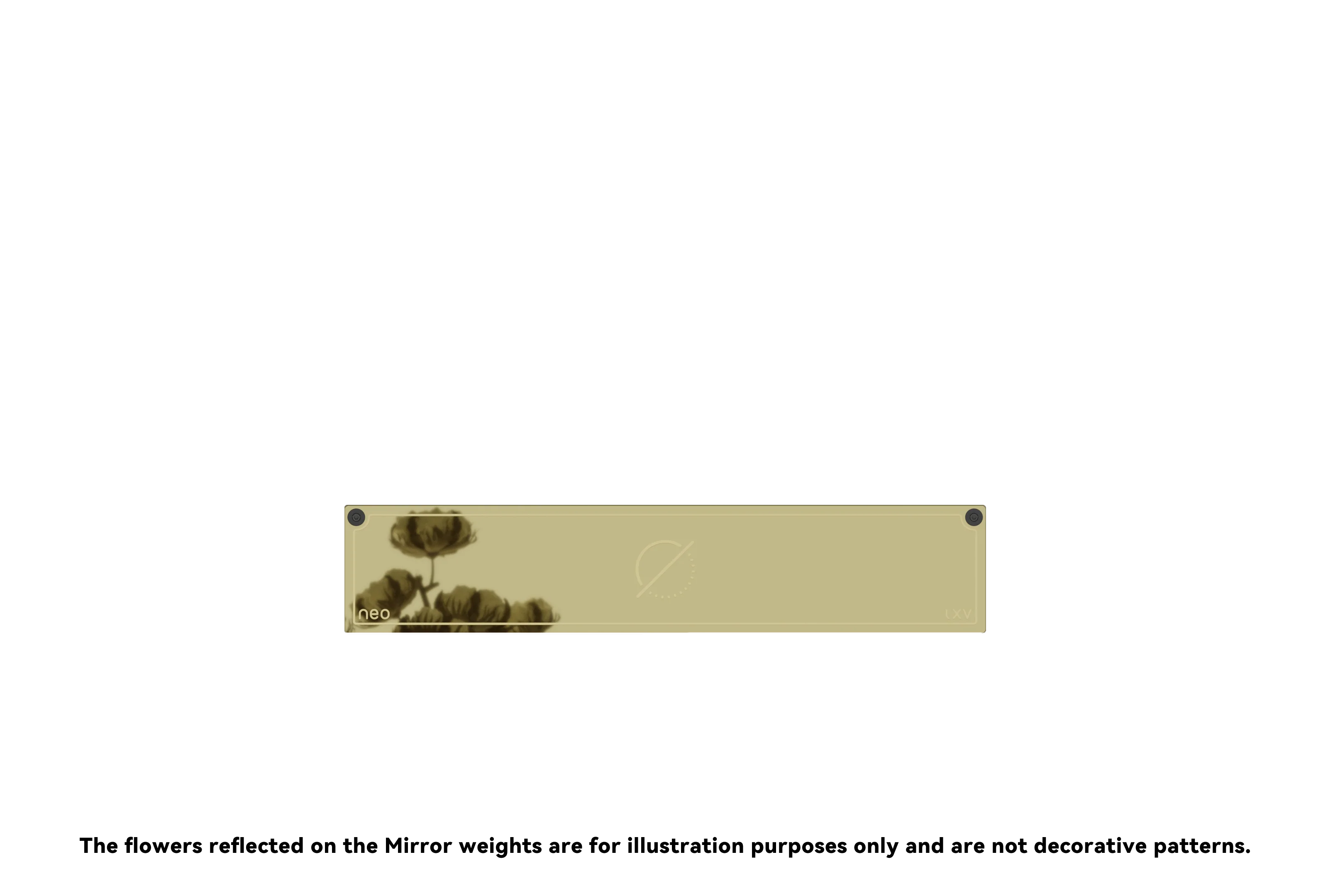 Neo65 Weight - Image 3