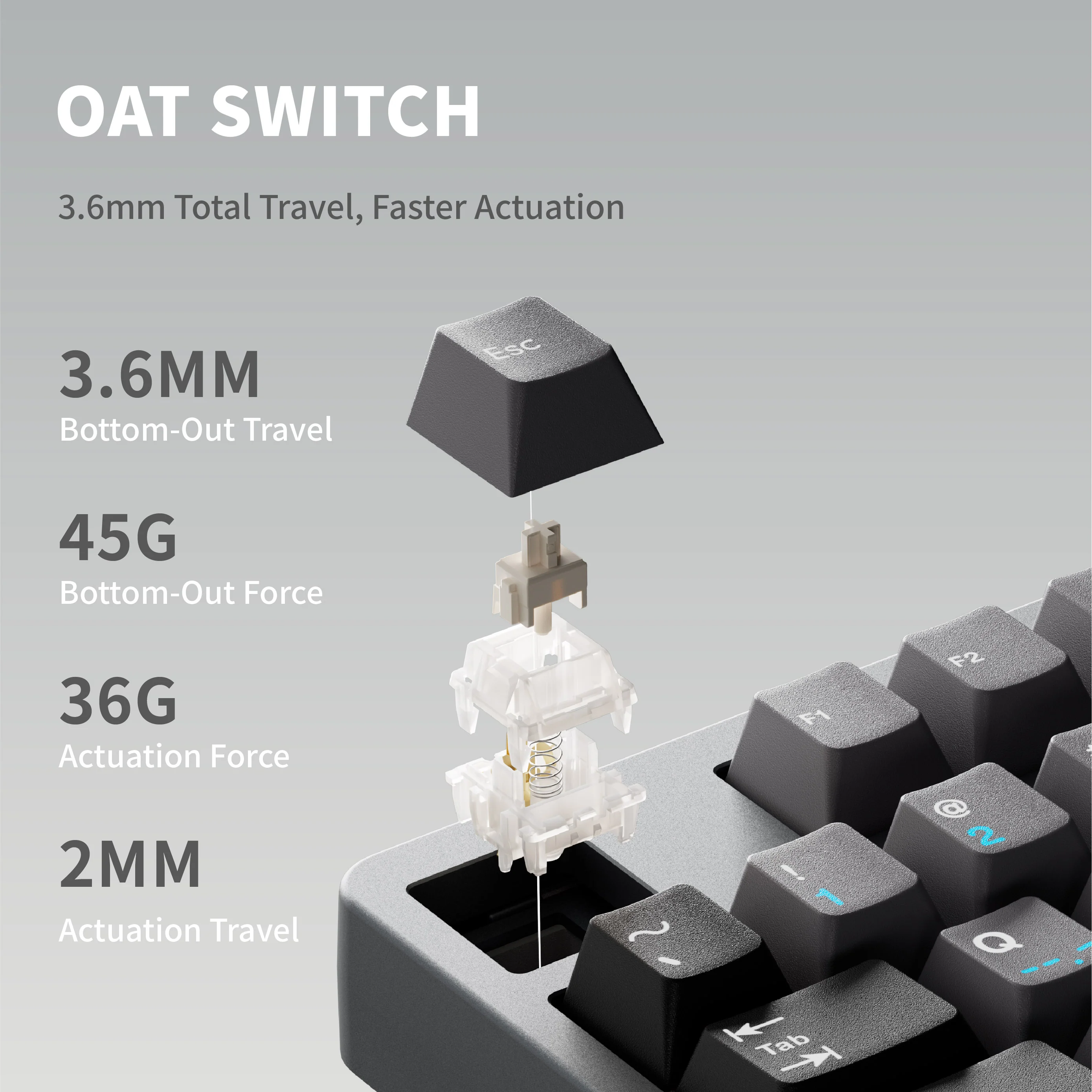 QK80 Mk2 Prebuilt Mechanical Keyboard - Image 4